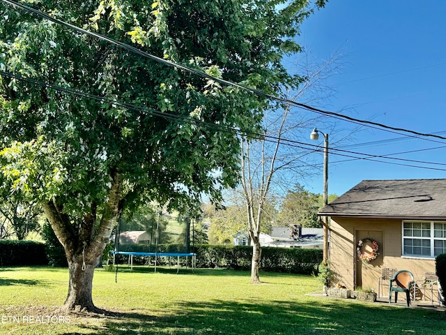 view of yard with a trampoline