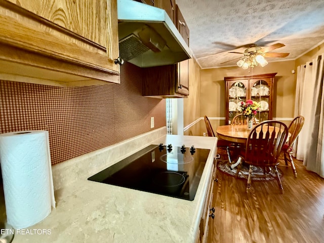 kitchen with wood-type flooring, black electric cooktop, a textured ceiling, and ceiling fan