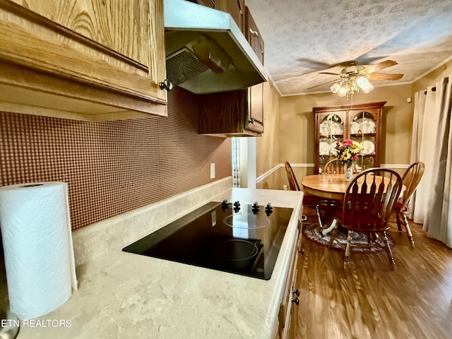 kitchen with ceiling fan, black electric cooktop, a textured ceiling, wood finished floors, and under cabinet range hood