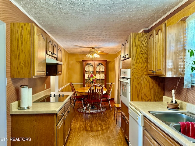 kitchen featuring ceiling fan, white appliances, wood-type flooring, ornamental molding, and a textured ceiling