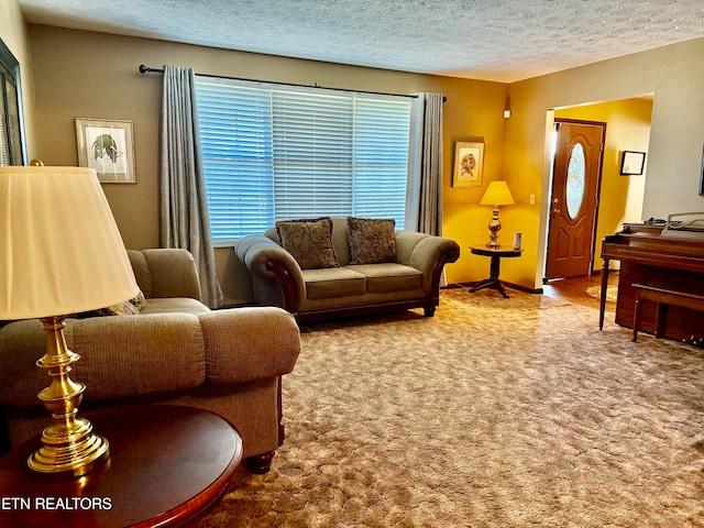 living room with carpet flooring and a textured ceiling