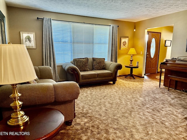 carpeted living room featuring baseboards and a textured ceiling