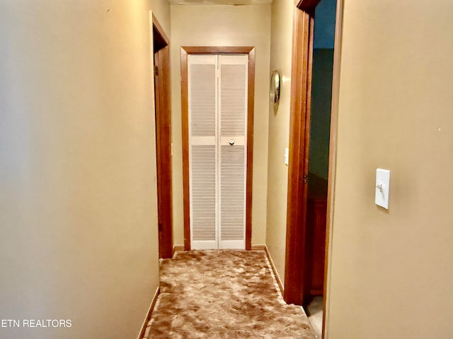 hallway featuring carpet floors