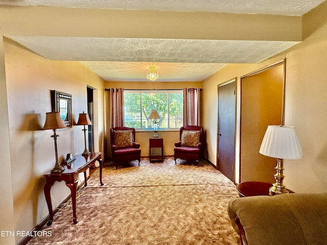 sitting room with carpet floors and a textured ceiling