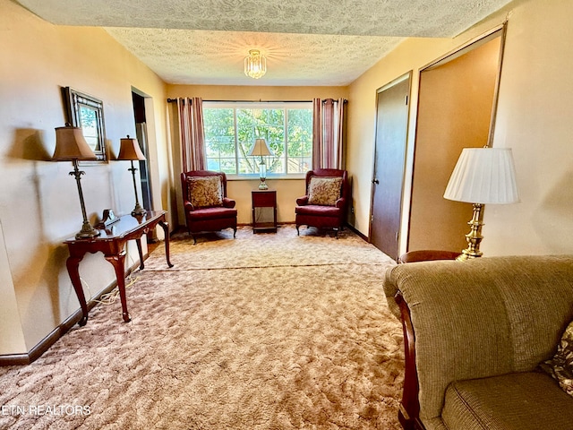 sitting room featuring a textured ceiling and carpet