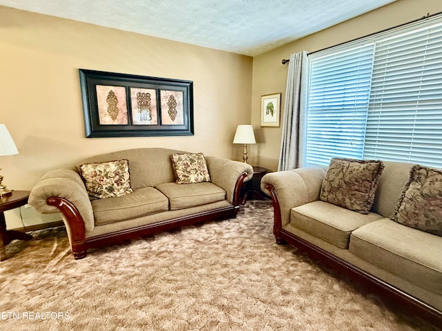 carpeted living room with a textured ceiling