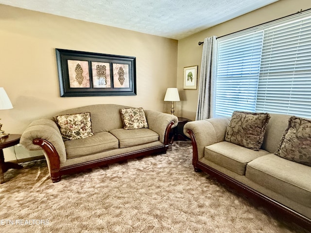 carpeted living room featuring a textured ceiling