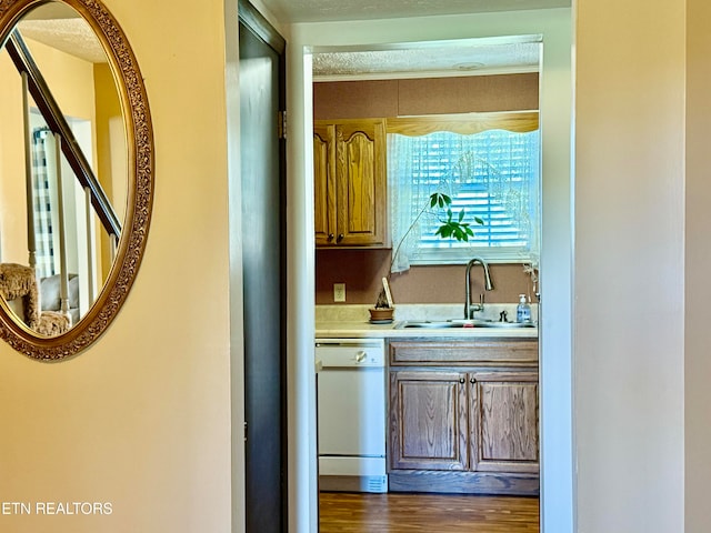 interior space with a textured ceiling, dark wood-type flooring, and sink