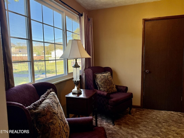 living area with carpet and a textured ceiling