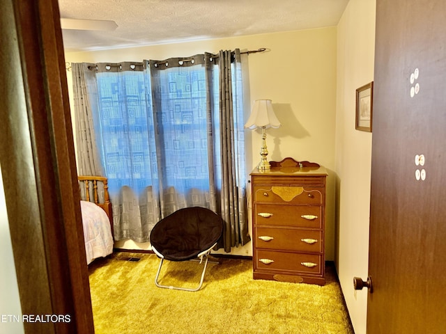 sitting room with carpet flooring, a textured ceiling, and a healthy amount of sunlight