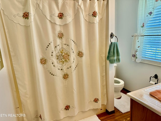 bathroom featuring wood-type flooring, vanity, toilet, and curtained shower