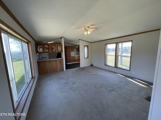 205 Magnolia Ln, Tazewell, TN 37879 - unfurnished living room with ornamental molding, a textured ceiling, vaulted ceiling, a ceiling fan, and carpet