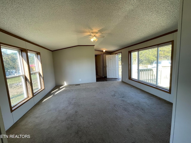 carpeted spare room featuring a textured ceiling, a healthy amount of sunlight, and ceiling fan