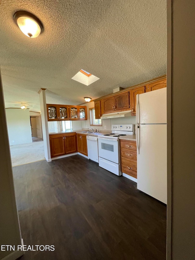 kitchen featuring a skylight, a textured ceiling, white appliances, and dark hardwood / wood-style flooring