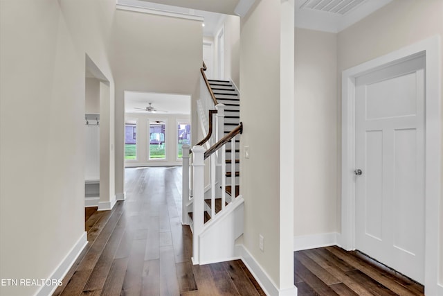 foyer entrance featuring visible vents, baseboards, a ceiling fan, dark wood-style floors, and stairway