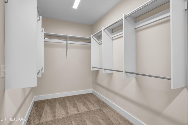spacious closet with carpet flooring