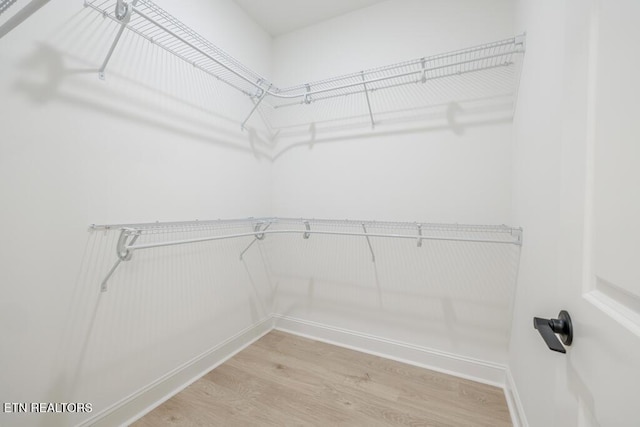 walk in closet featuring wood-type flooring