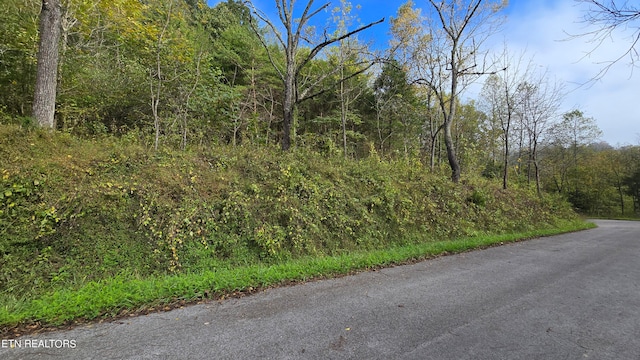 Listing photo 3 for TBD Lower Wallens Creek Rd, Jonesville VA 24263