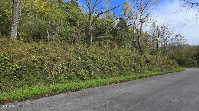 TBD Lower Wallens Creek Rd, Jonesville, VA 24263 - photo 3