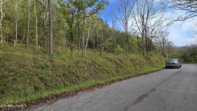 TBD Lower Wallens Creek Rd, Jonesville, VA 24263 - photo 4