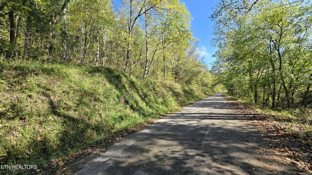 TBD Lower Wallens Creek Rd, Jonesville, VA 24263 - photo 5