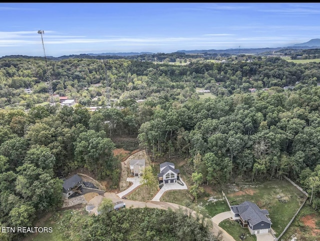 246 Clear Creek Rd, Kodak, TN 37764 - aerial overview of property's location featuring a forest