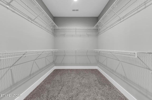 spacious closet with carpet floors