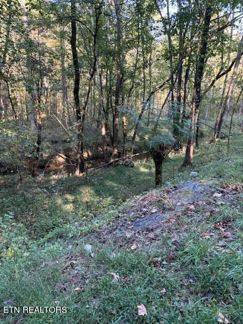 Listing photo 2 for 11915 Watkins Rd E, Loudon TN 37774