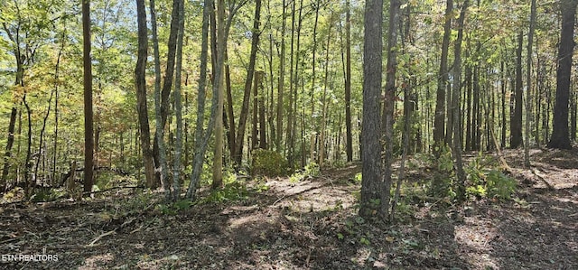 208 Old Furnace Rd, Tellico Plains, TN 37385 - photo 1