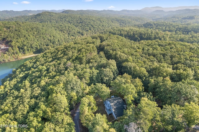 254 Laurel Mountain Rd, Madisonville, TN 37354 - photo 42