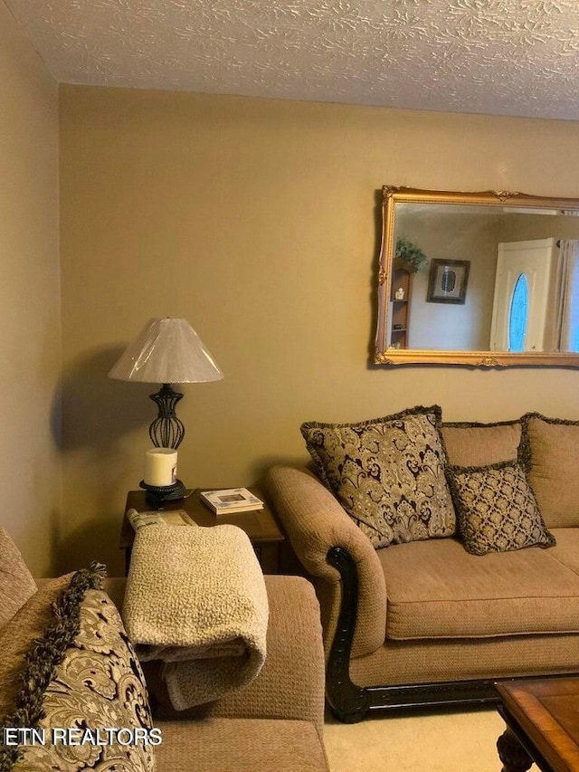 carpeted living room with a textured ceiling