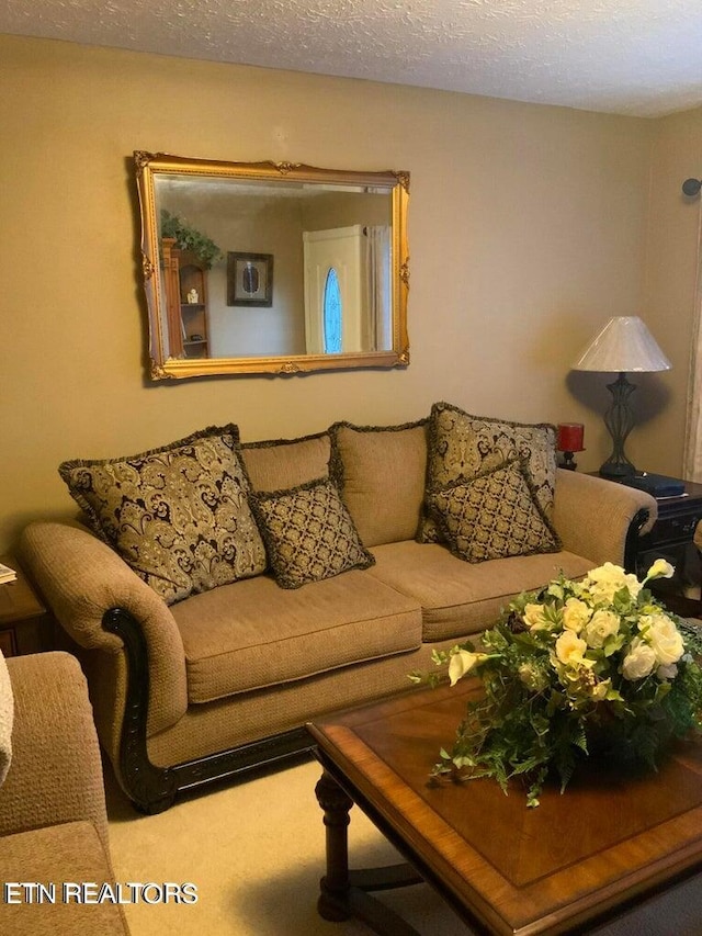 carpeted living room featuring a textured ceiling