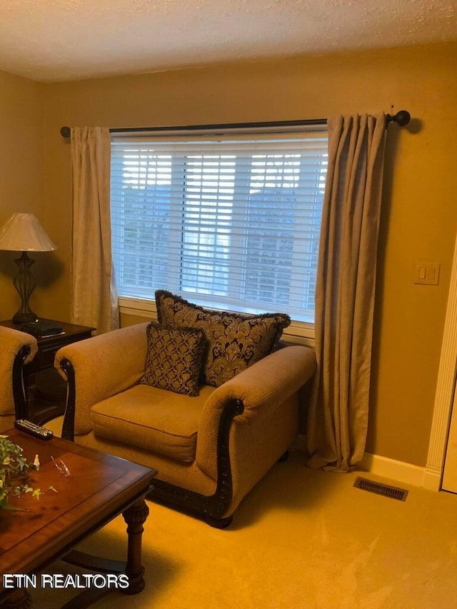 carpeted living room featuring a textured ceiling and plenty of natural light