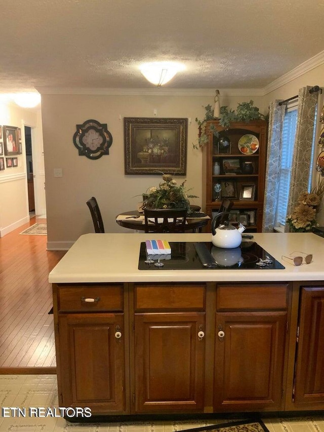 kitchen featuring black electric cooktop, a textured ceiling, light wood-type flooring, and ornamental molding