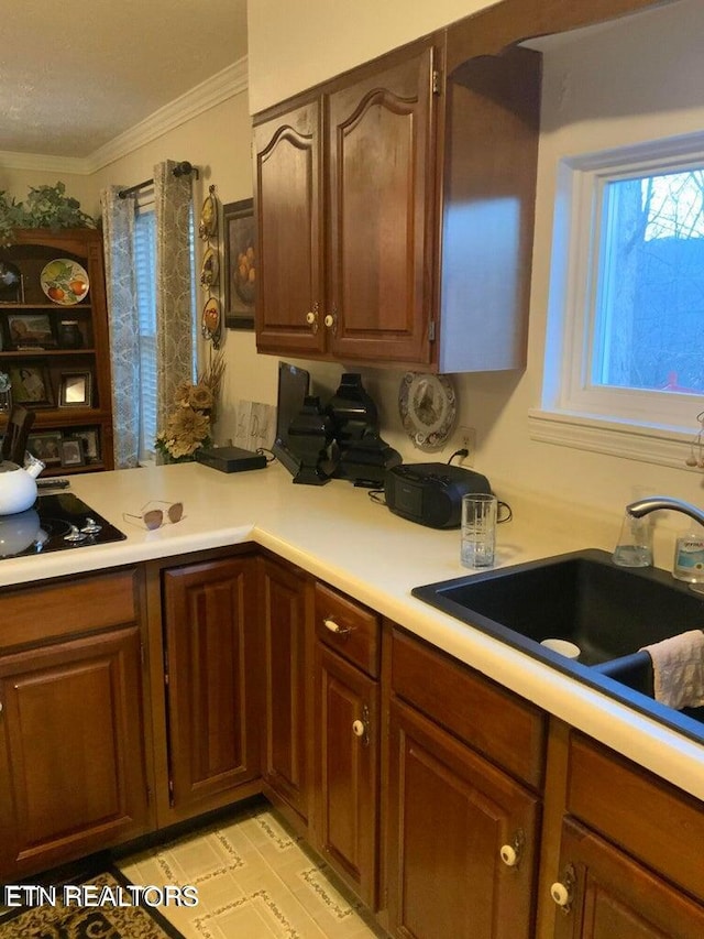 kitchen featuring stovetop, ornamental molding, and sink