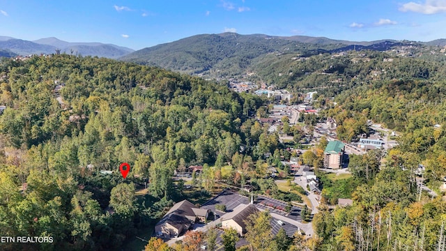 birds eye view of property with a mountain view