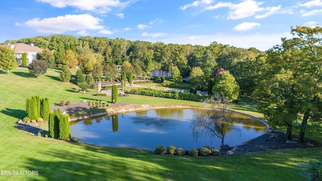 view of water feature