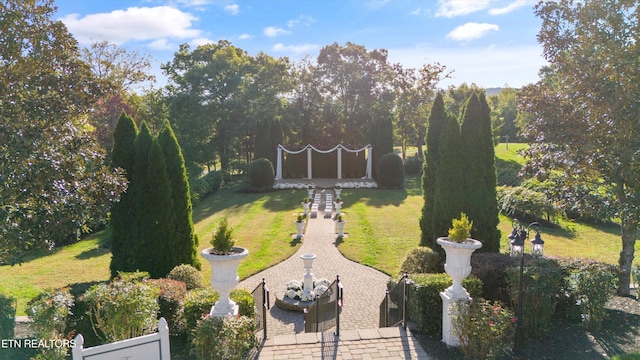 view of yard featuring a patio area