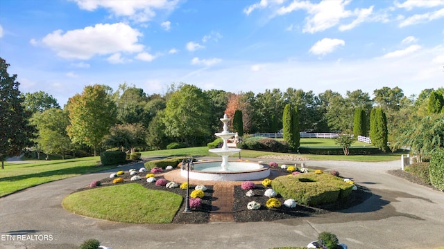 view of property's community with a yard