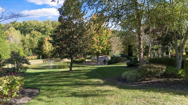 exterior space with a yard and a water view