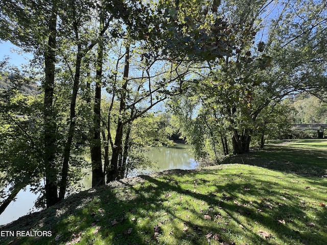 59 River Rd, Miracle, KY 40856 - view of green lawn with a water view