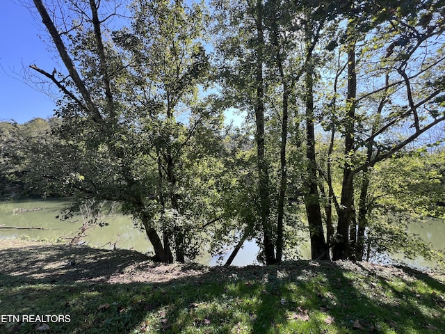 59 River Rd, Miracle, KY 40856 - view of local wilderness featuring a large body of water