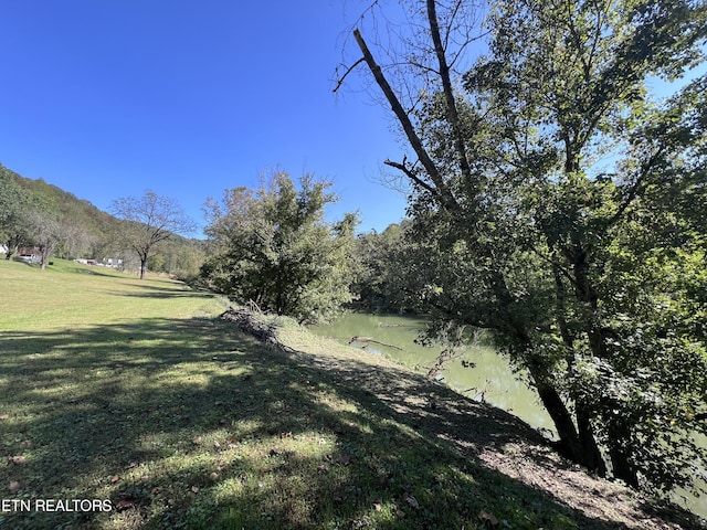 59 River Rd, Miracle, KY 40856 - view of grassy yard