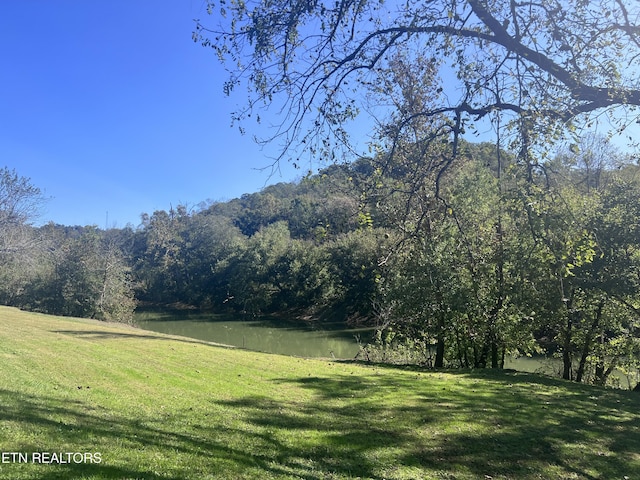 59 River Rd, Miracle, KY 40856 - view of grassy yard featuring a water view and a wooded view