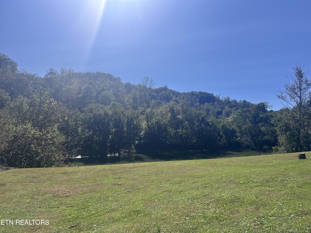 59 River Rd, Miracle, KY 40856 - mountain view with a forest and rural landscape