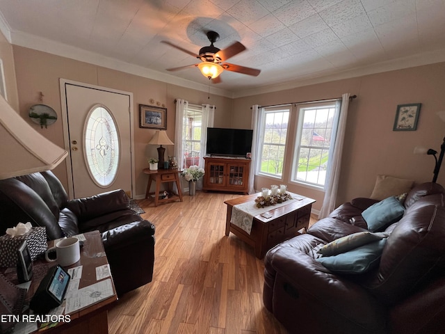 living room featuring ceiling fan, light hardwood / wood-style floors, and ornamental molding