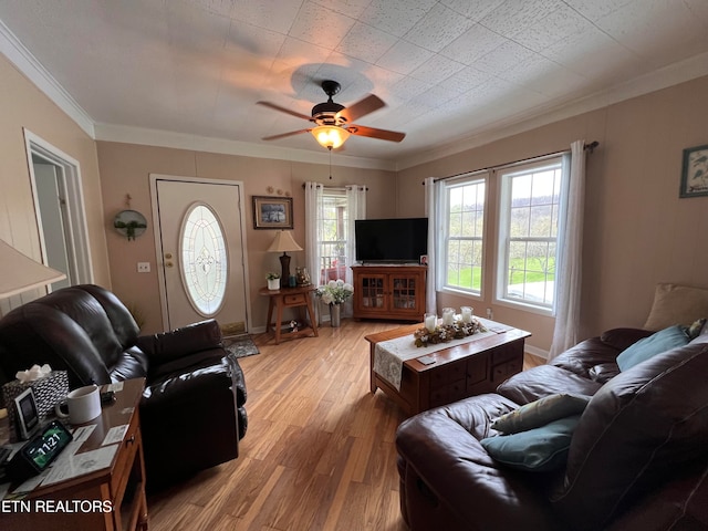 living room with ceiling fan, light wood-type flooring, and ornamental molding