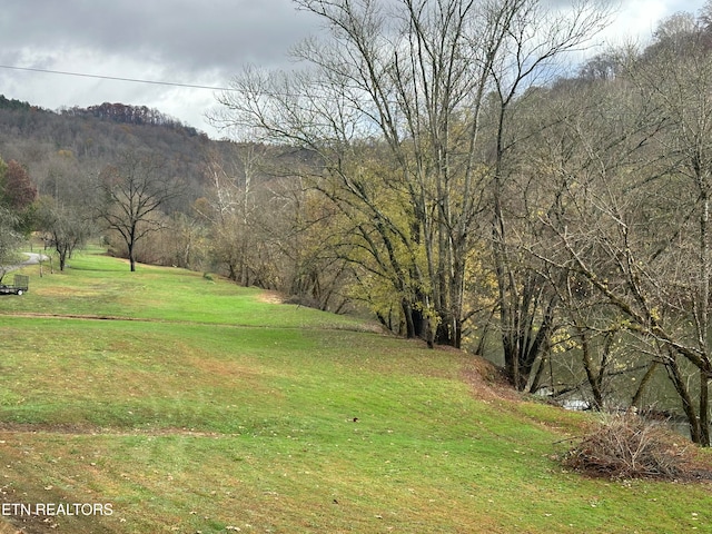 view of yard featuring a mountain view