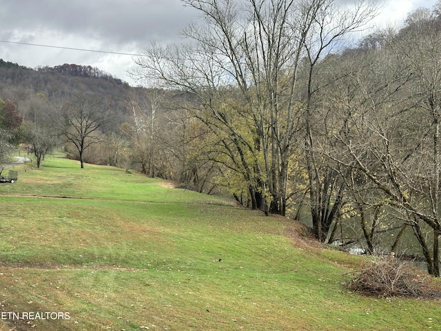 59 River Rd, Miracle, KY 40856 - view of green lawn