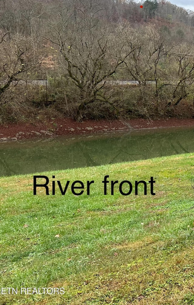 59 River Rd, Miracle, KY 40856 - view of green lawn